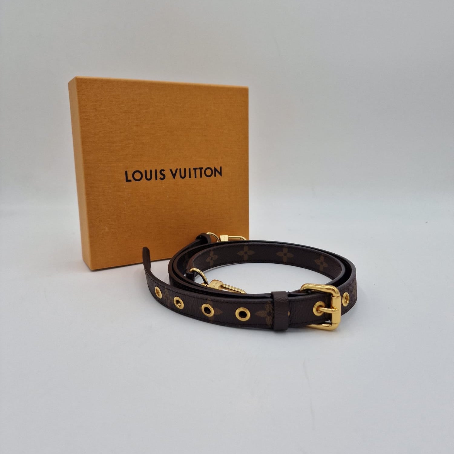 Louis Vuitton Monogram Strap