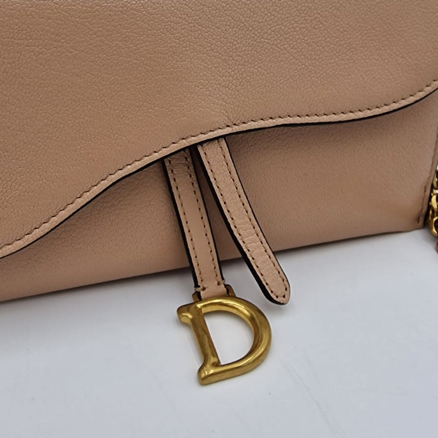 Dior Small Saddle Pouch