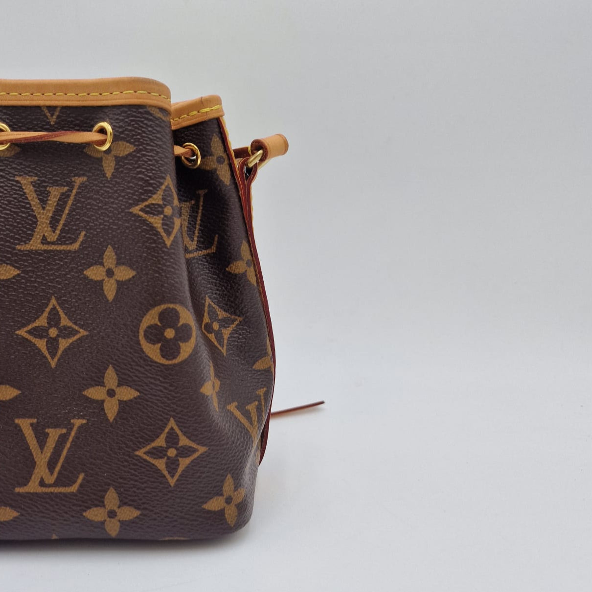 Louis Vuitton Nano Noé