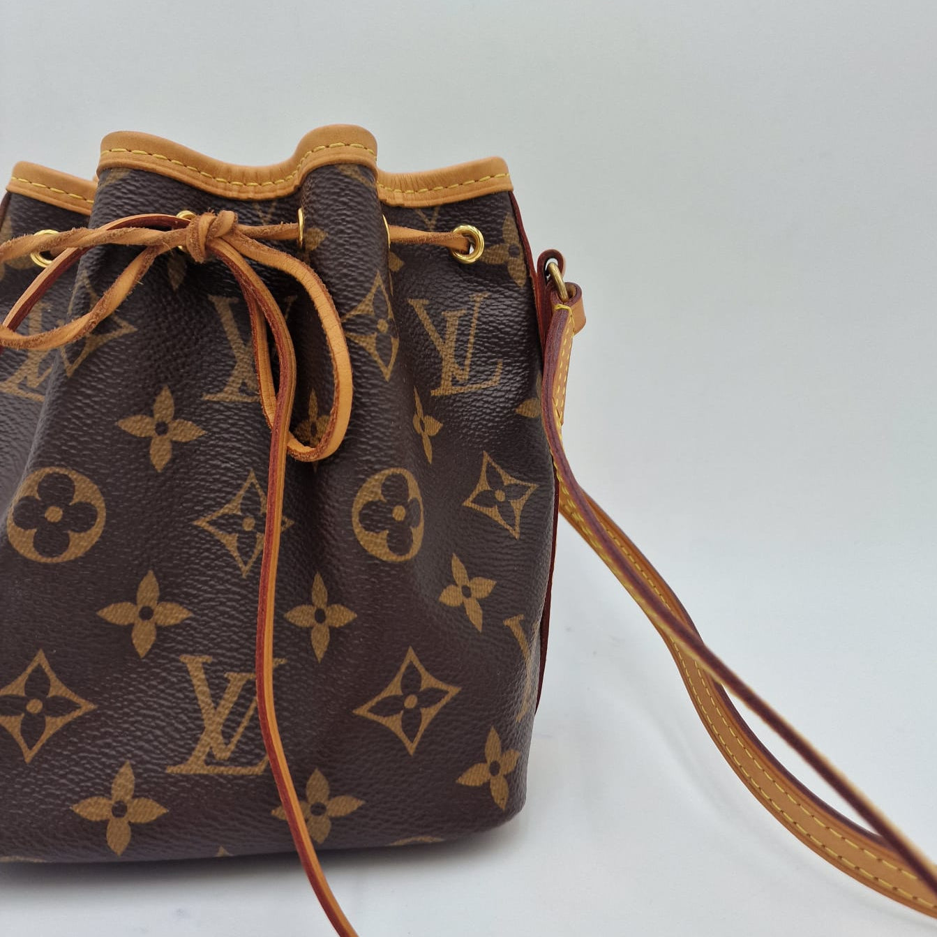 Louis Vuitton Nano Noé