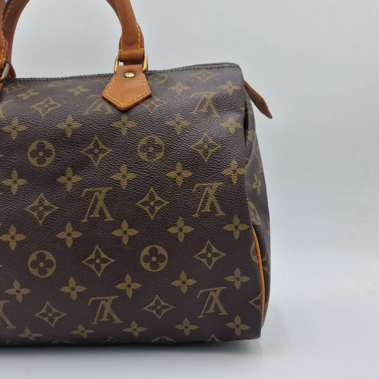 Louis Vuitton Speedy 30 Monogram