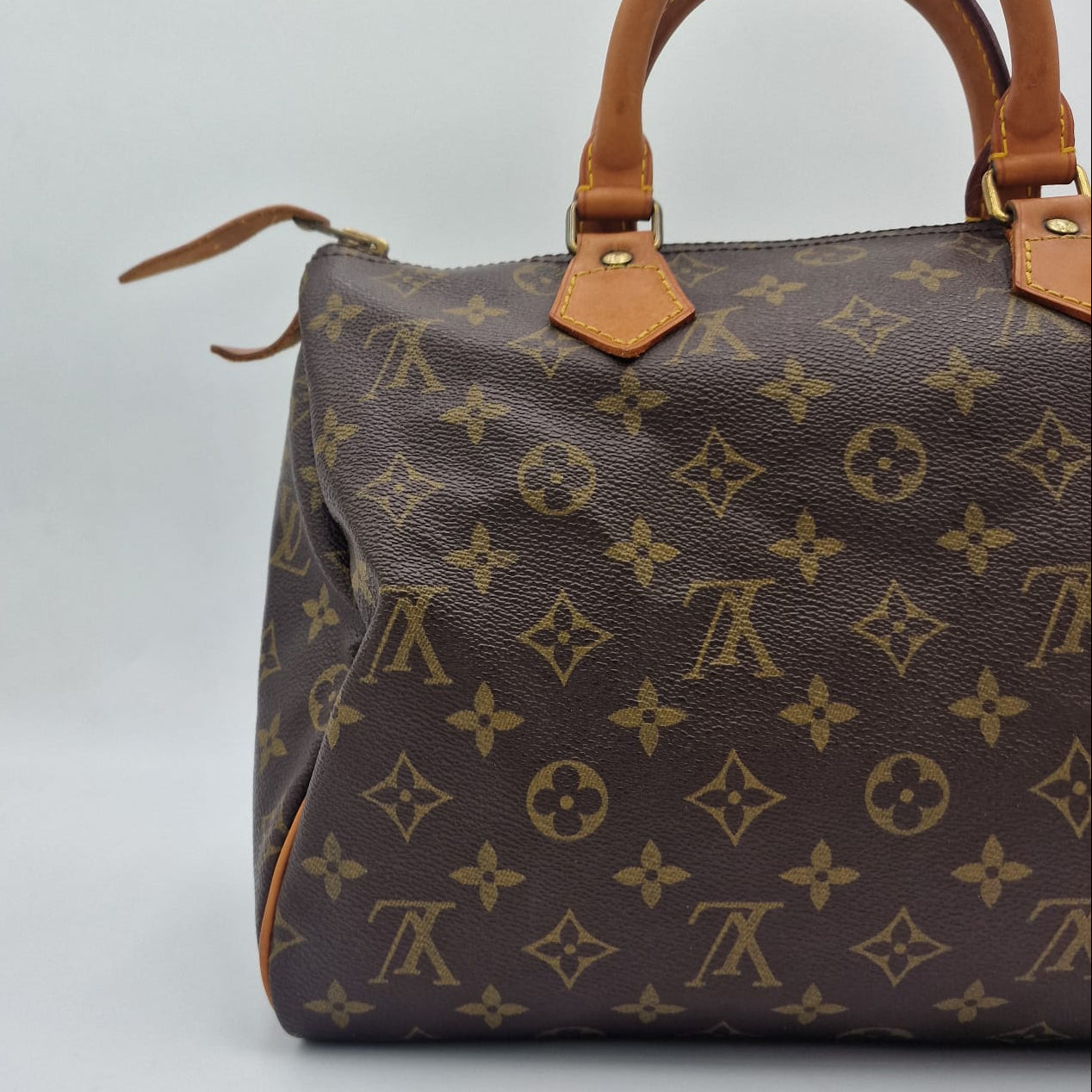 Louis Vuitton Speedy 30 Monogram