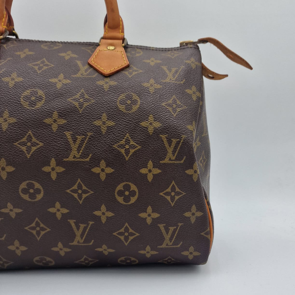 Louis Vuitton Speedy 30 Monogram