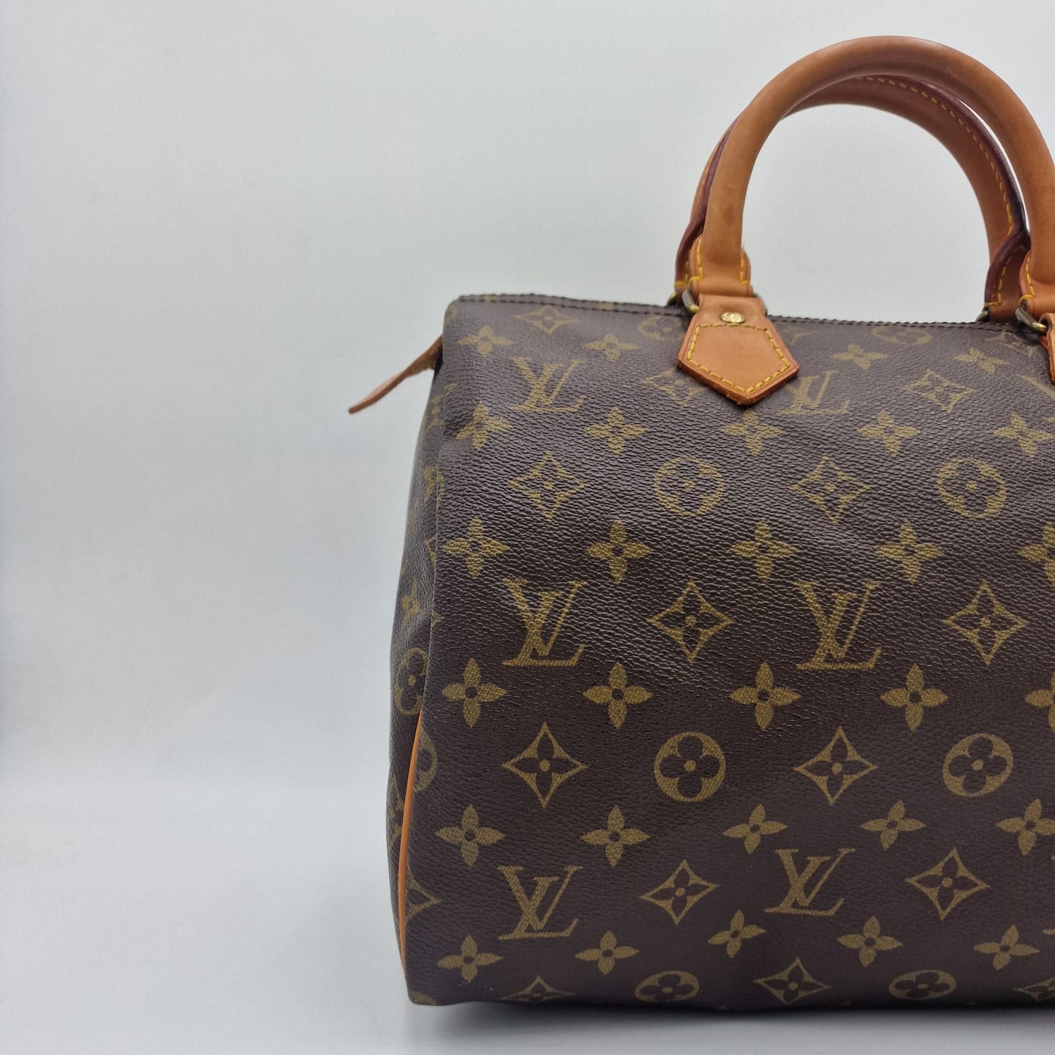Louis Vuitton Speedy 30 Monogram