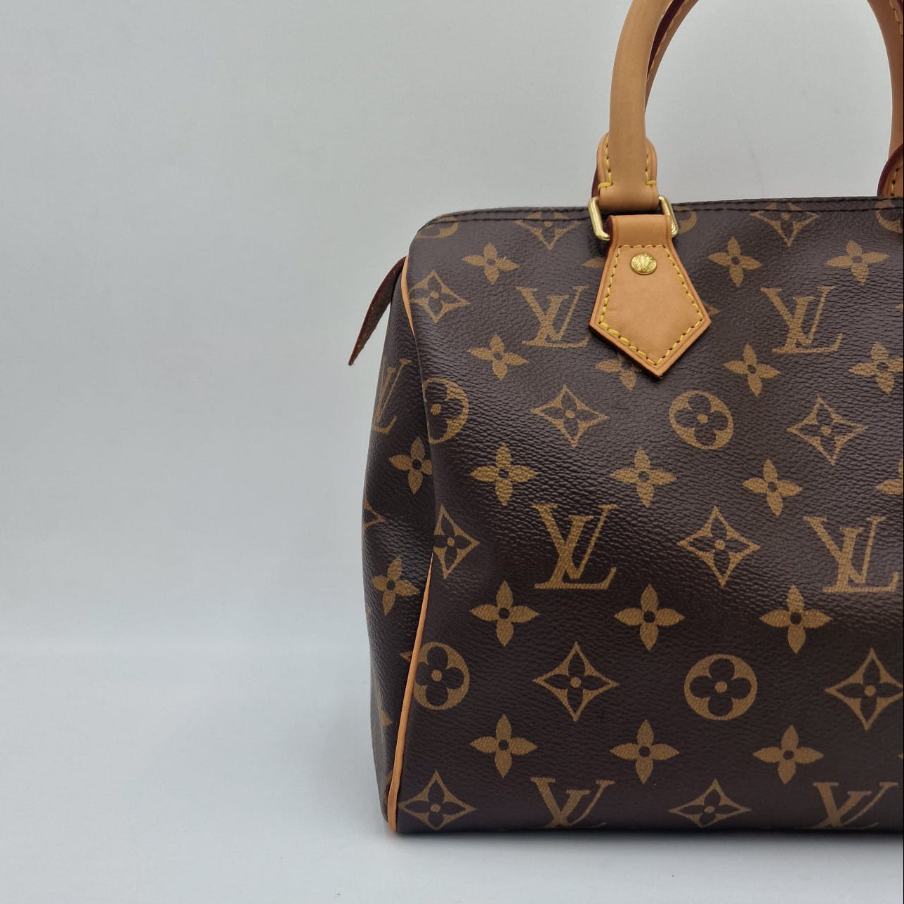 Louis Vuitton Speedy 25 Monogram