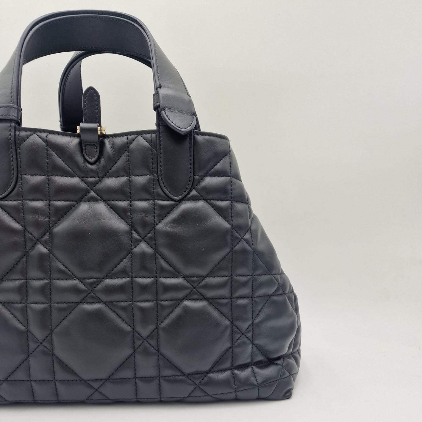 Dior Toujours Medium