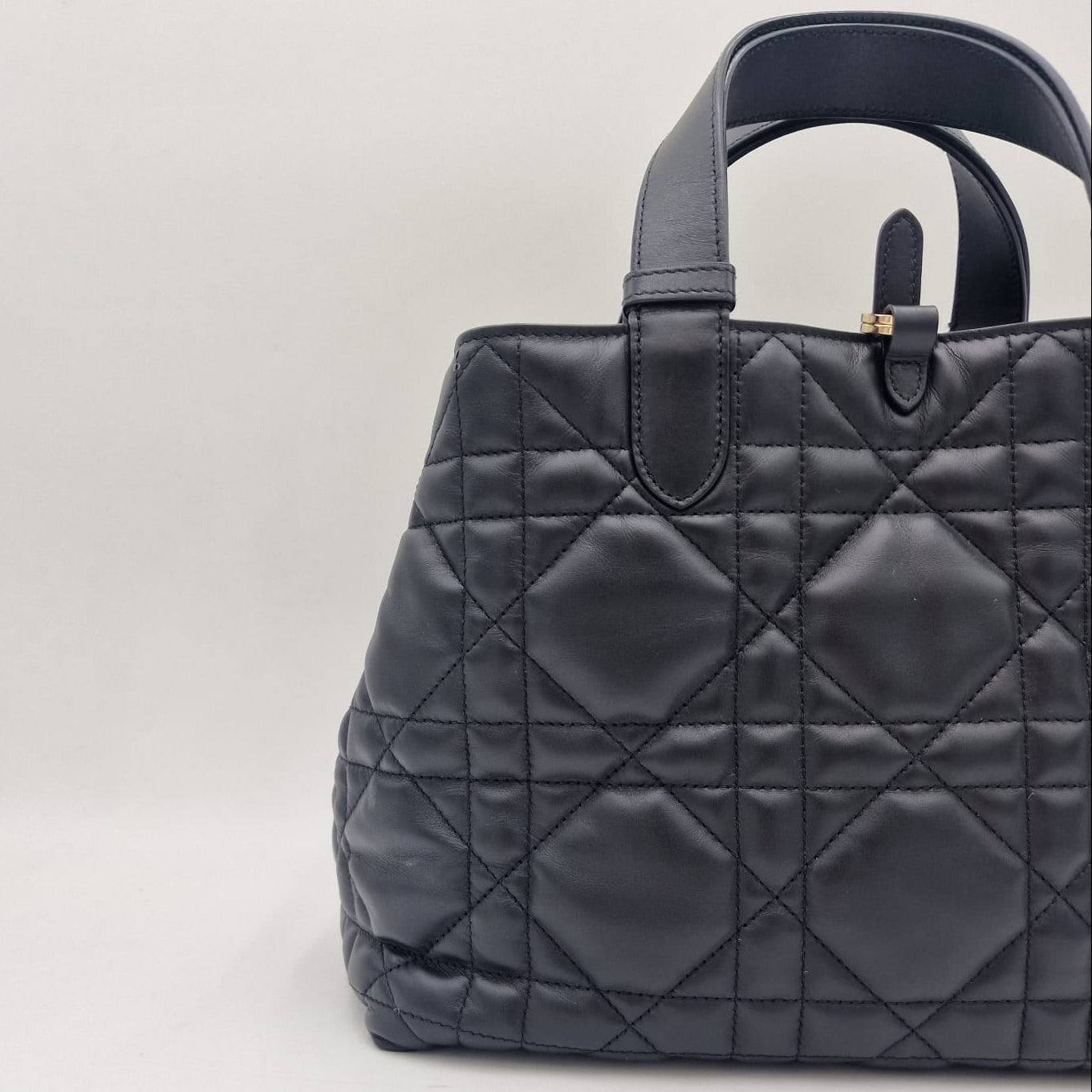 Dior Toujours Medium