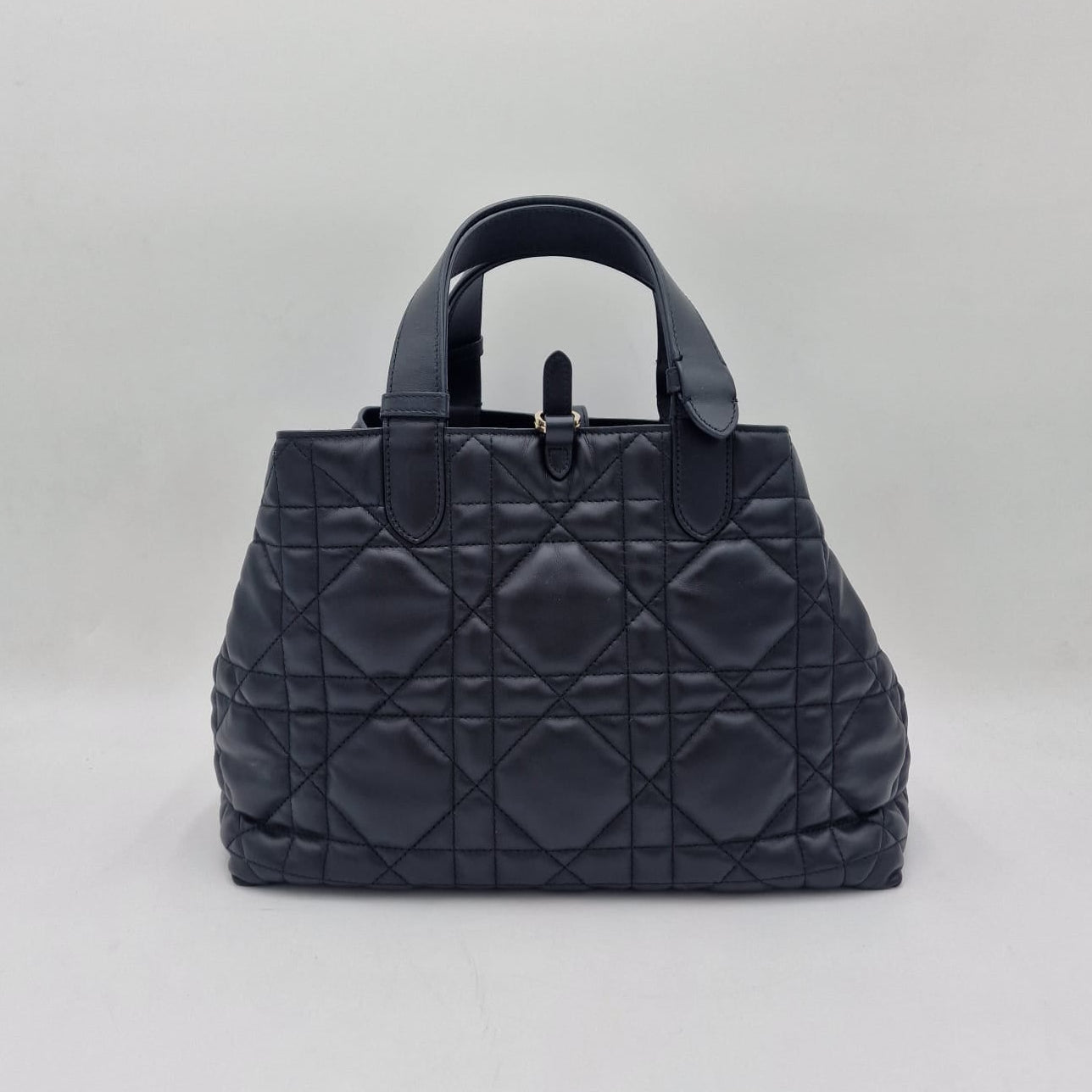 Dior Toujours Medium