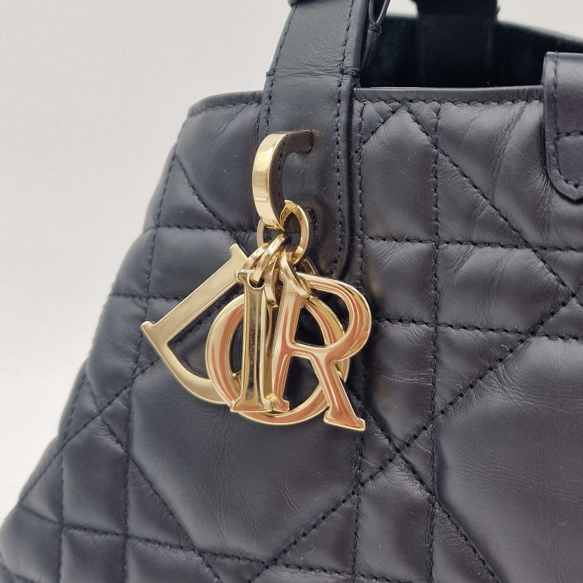 Dior Toujours Medium