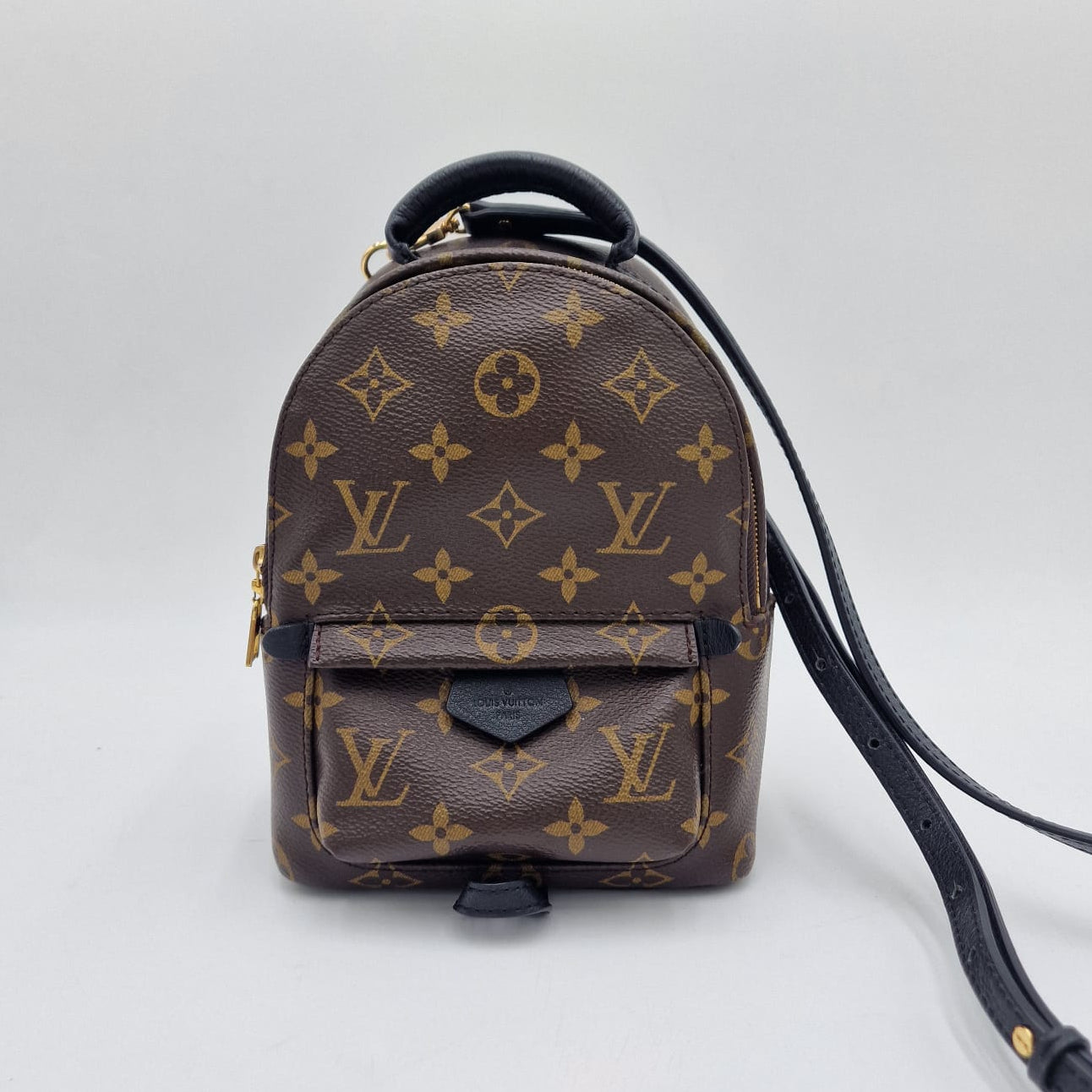 Louis Vuitton Mini Palm Springs