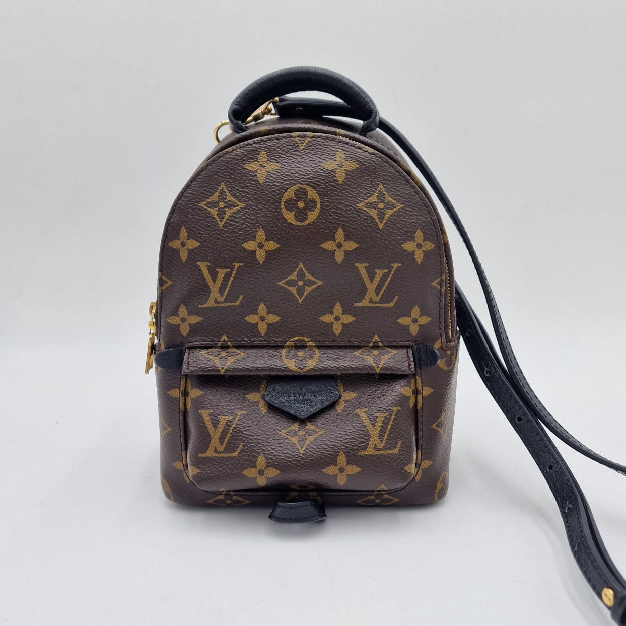 Louis Vuitton Mini Palm Springs