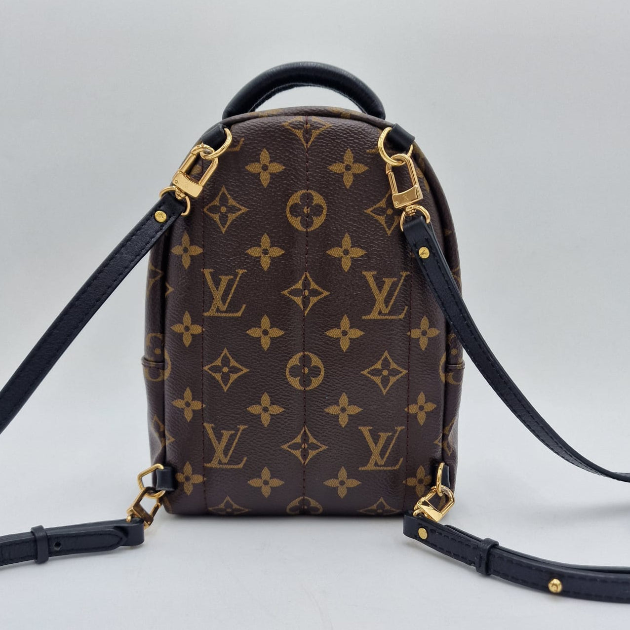 Louis Vuitton Mini Palm Springs