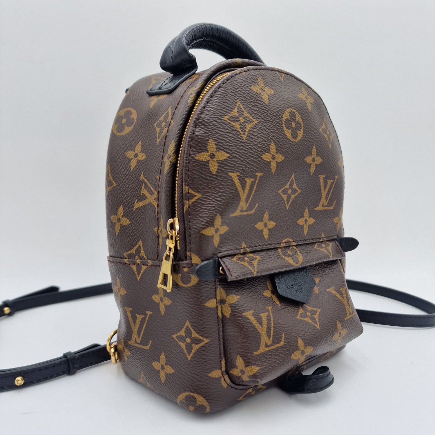 Louis Vuitton Mini Palm Springs