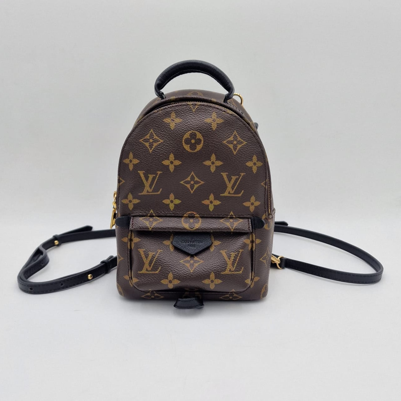 Louis Vuitton Mini Palm Springs