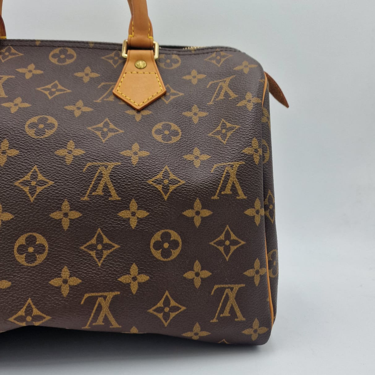 Louis Vuitton Speedy 30 Monogram