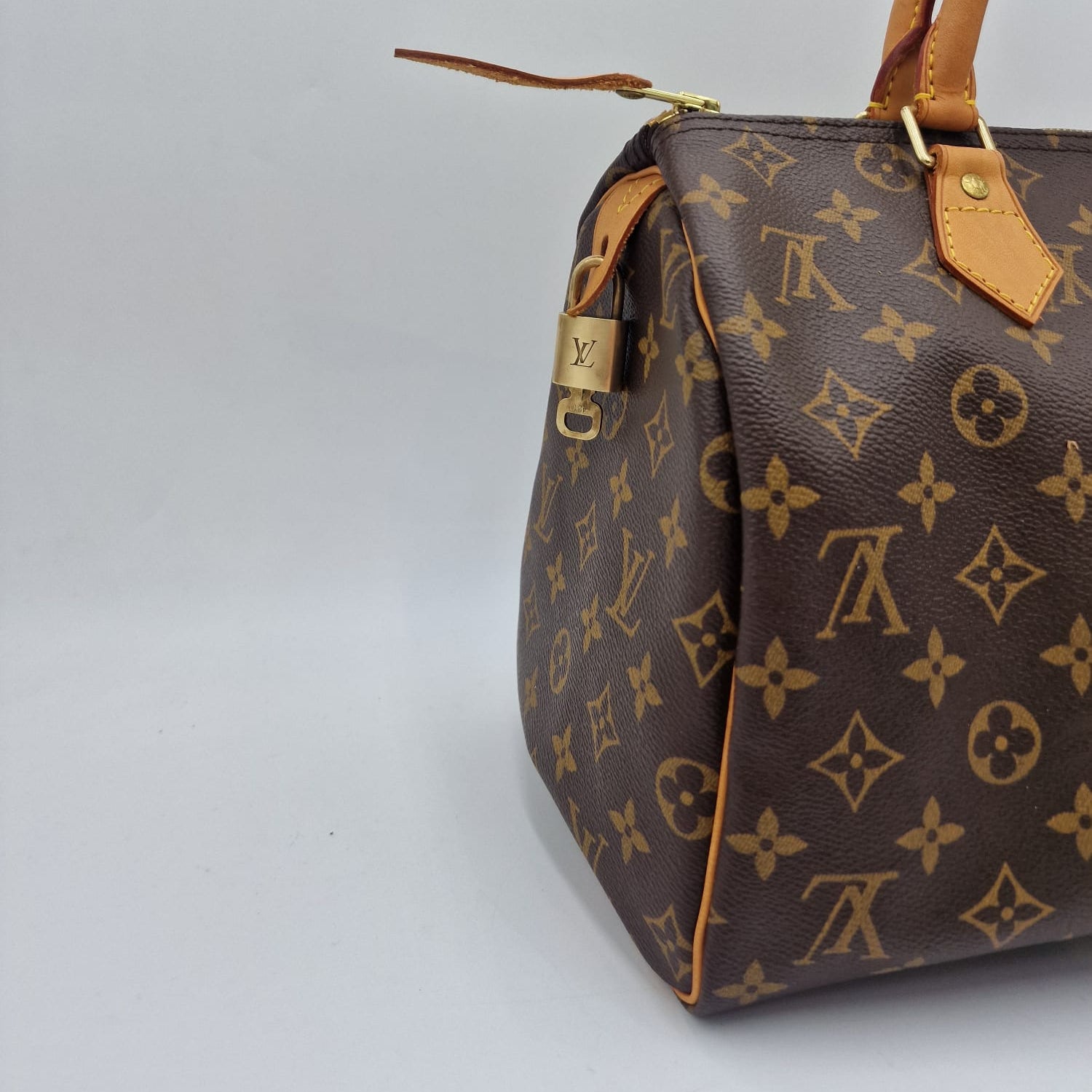 Louis Vuitton Speedy 30 Monogram