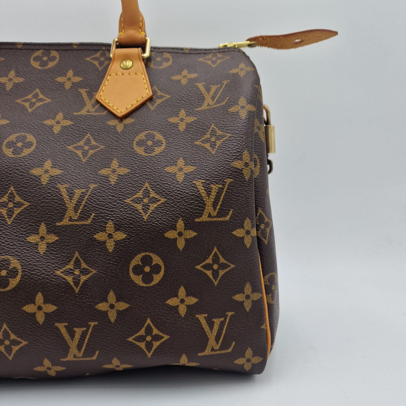 Louis Vuitton Speedy 30 Monogram