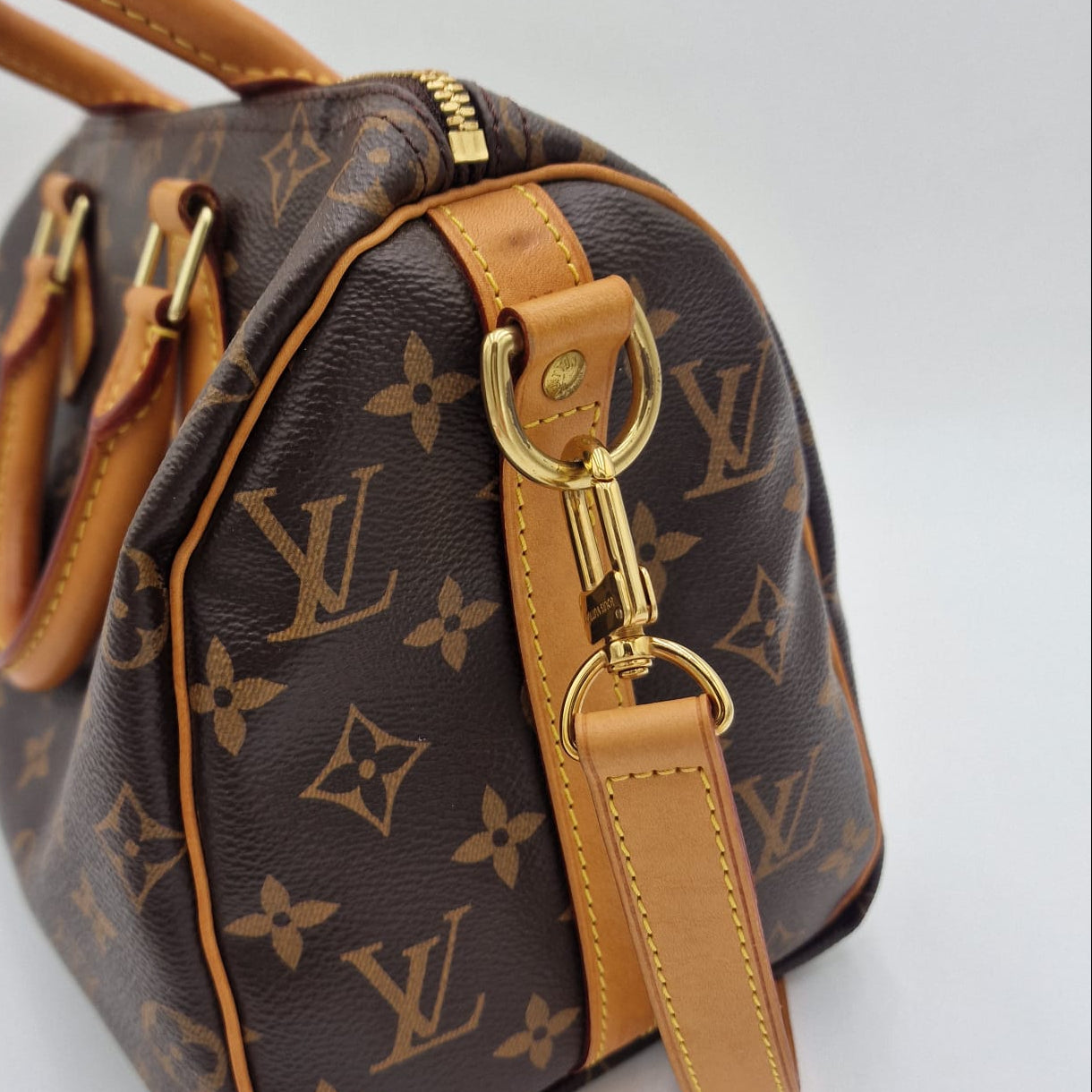Louis Vuitton Speedy 25 Monogram