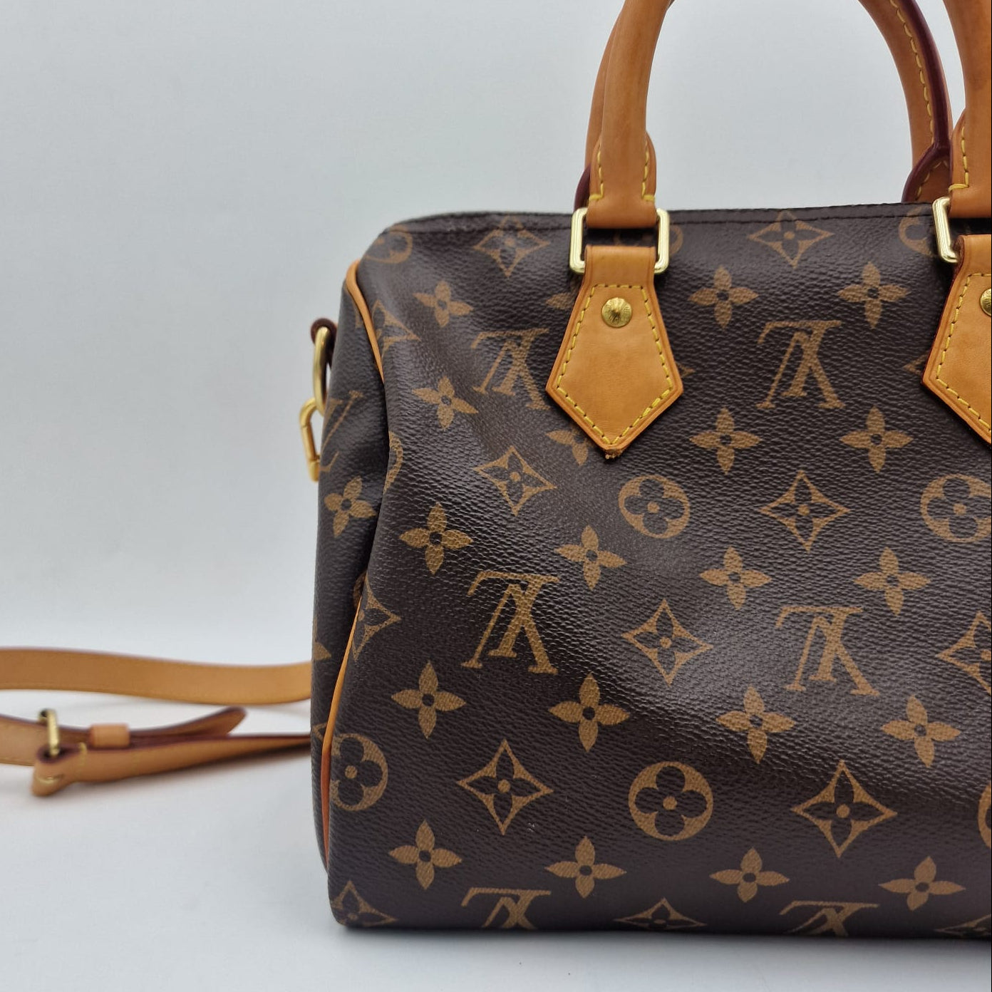 Louis Vuitton Speedy 25 Monogram