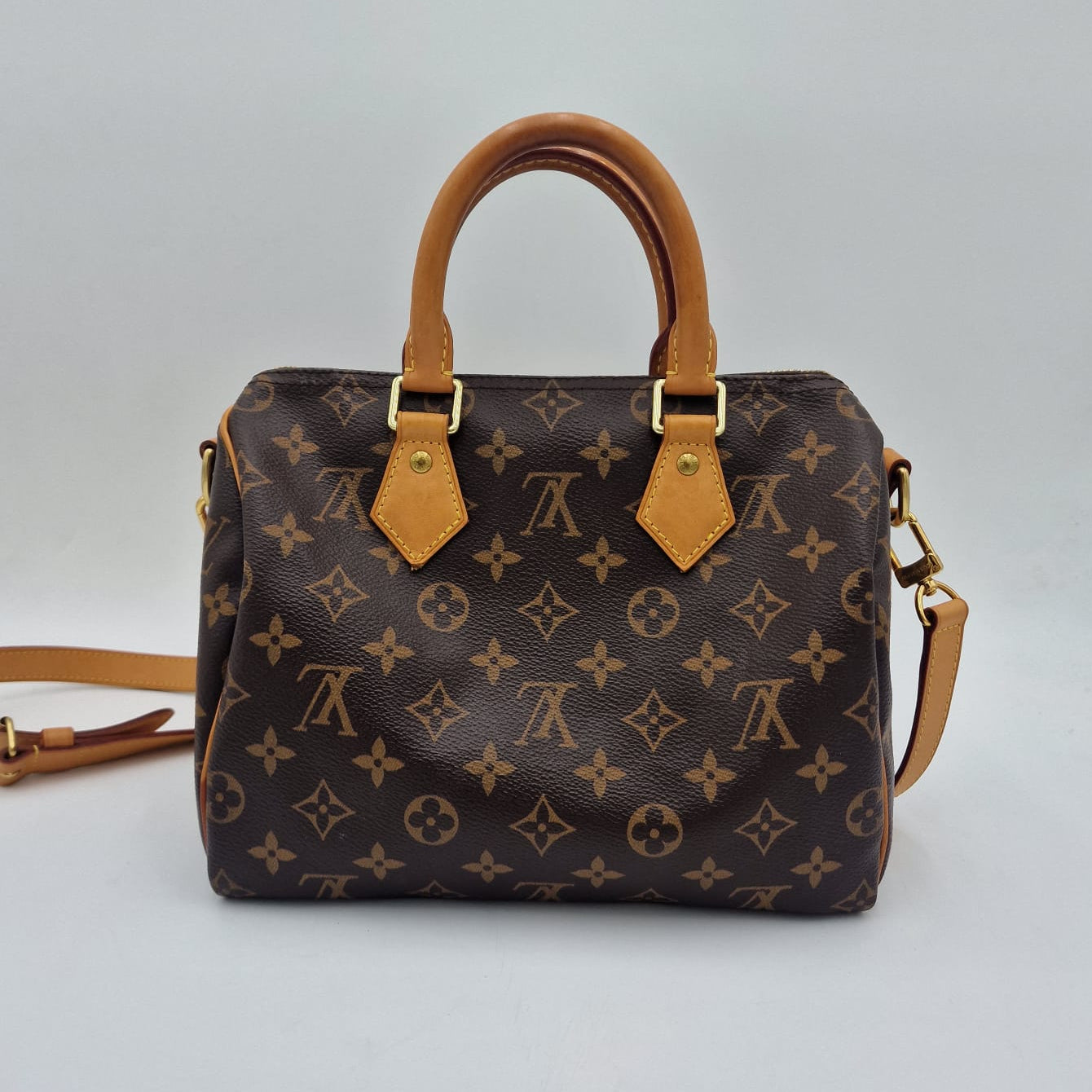 Louis Vuitton Speedy 25 Monogram