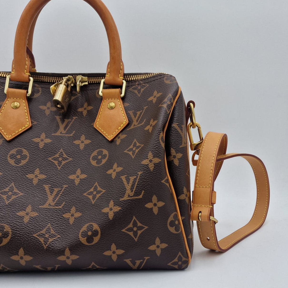 Louis Vuitton Speedy 25 Monogram