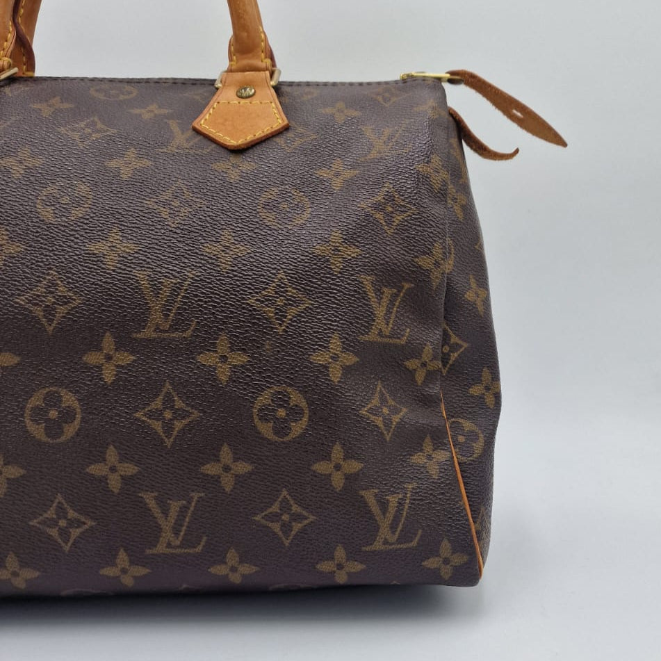 Louis Vuitton Speedy 30 Monogram
