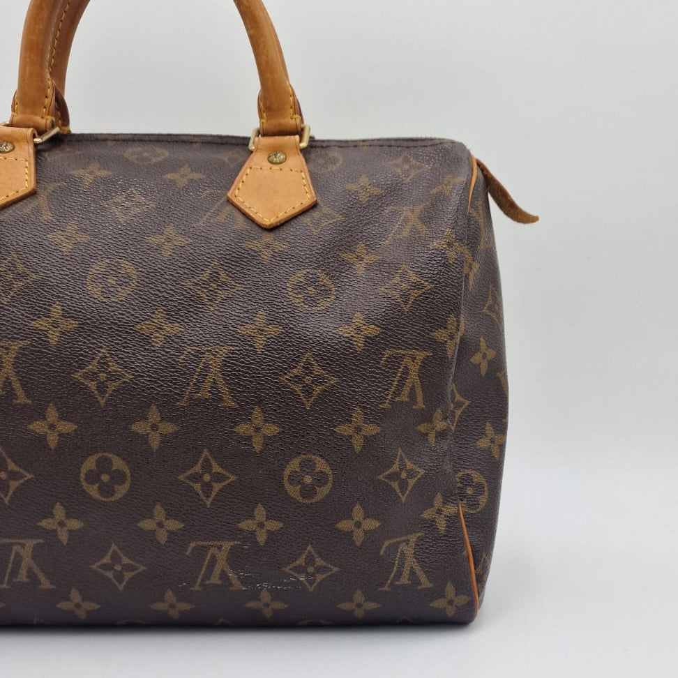 Louis Vuitton Speedy 30 Monogram