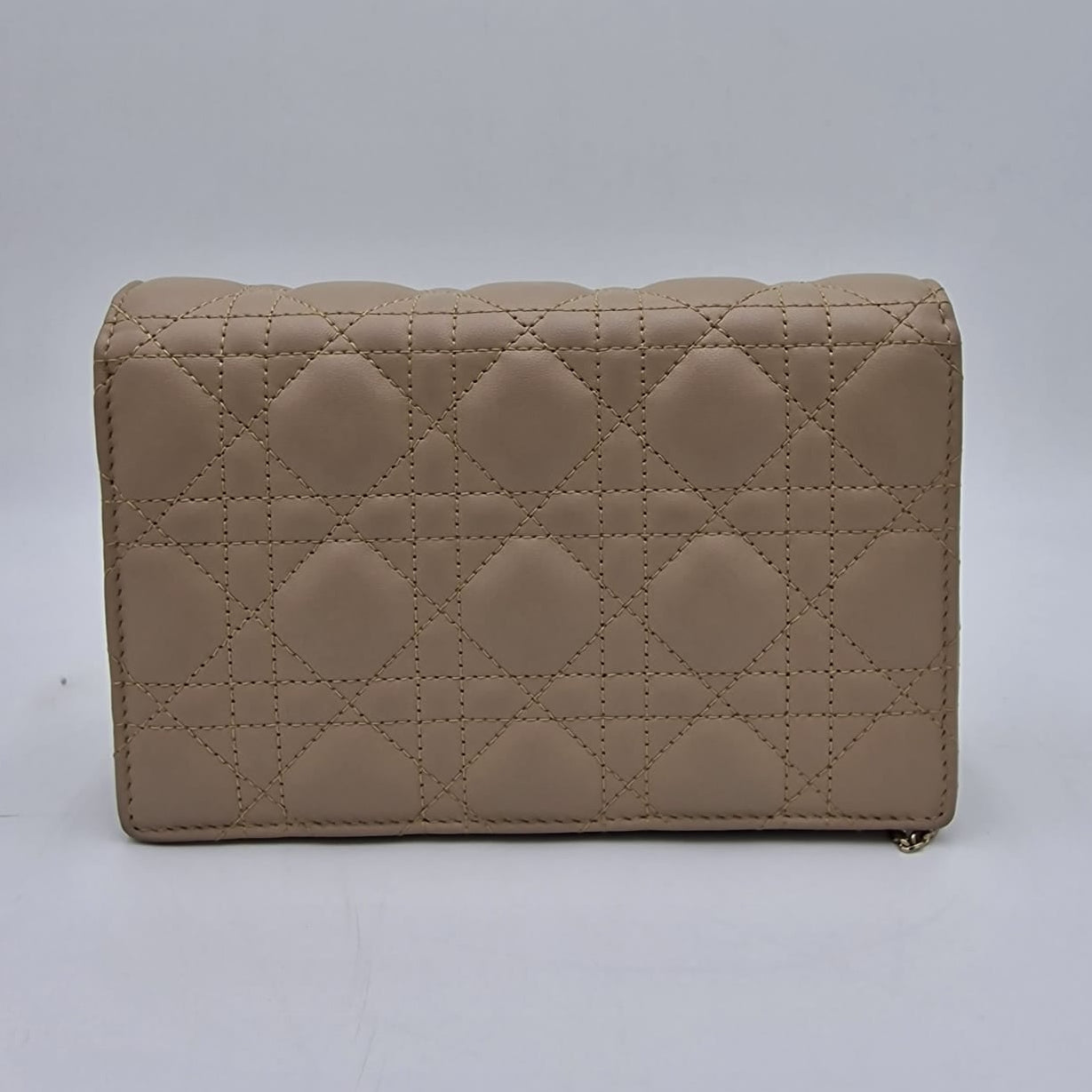 Dior My Dior Daily Pouch
