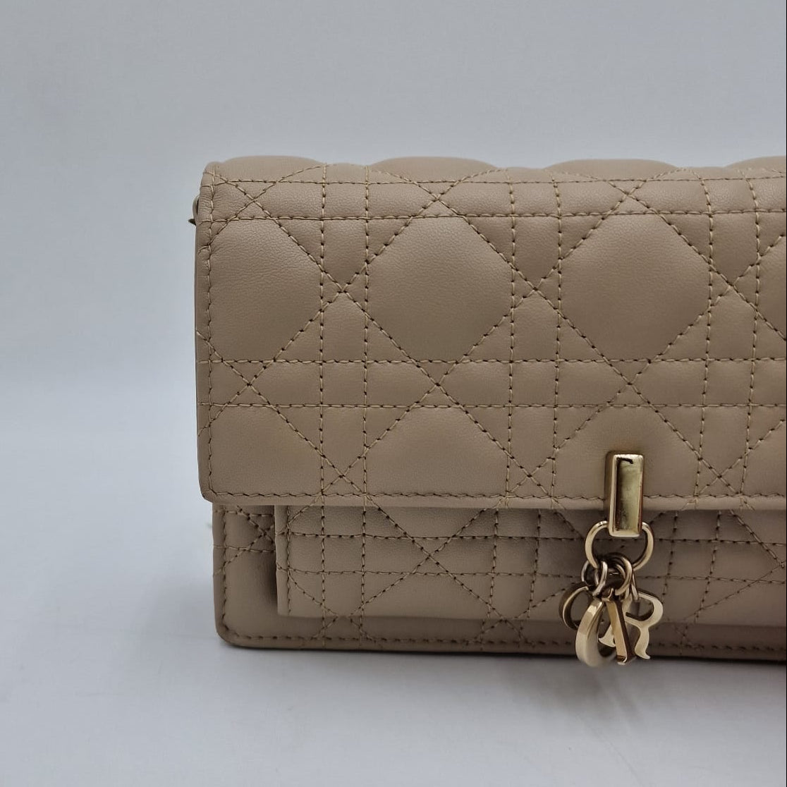 Dior My Dior Daily Pouch