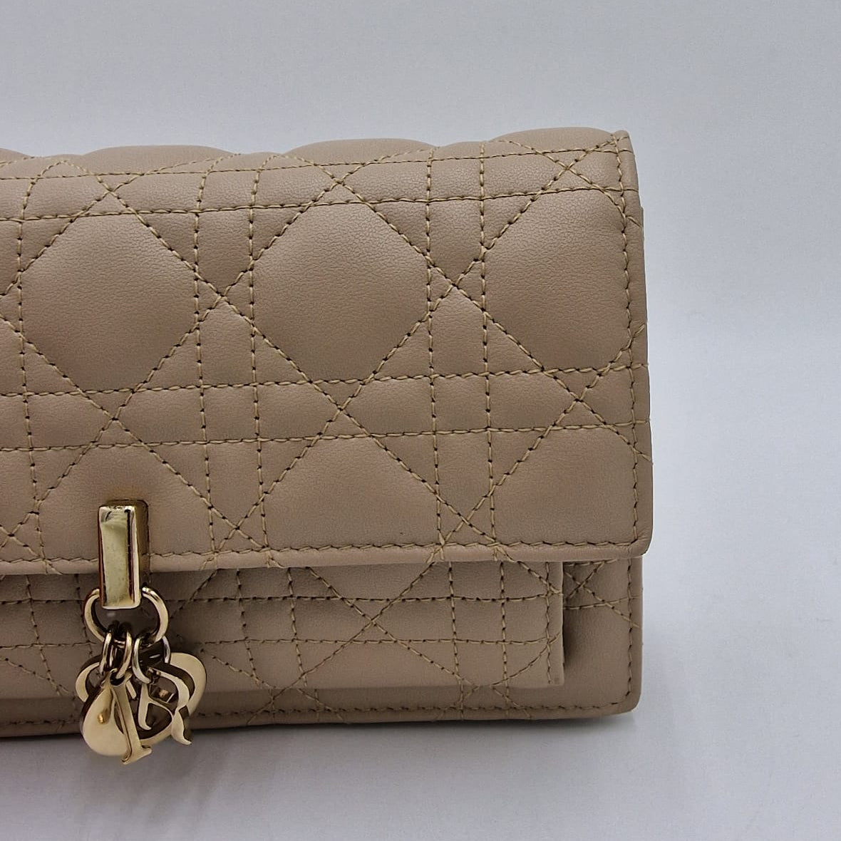 Dior My Dior Daily Pouch