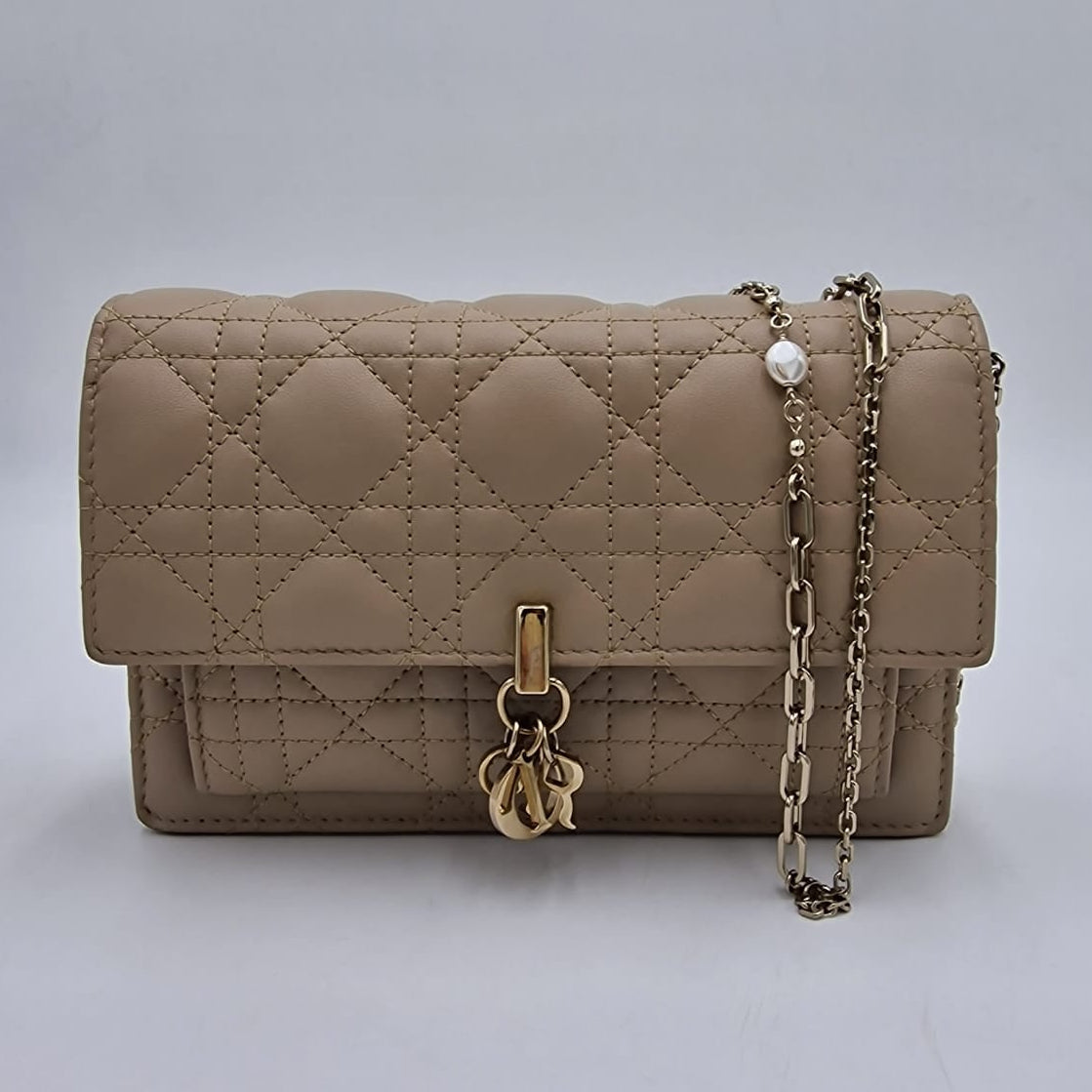 Dior My Dior Daily Pouch