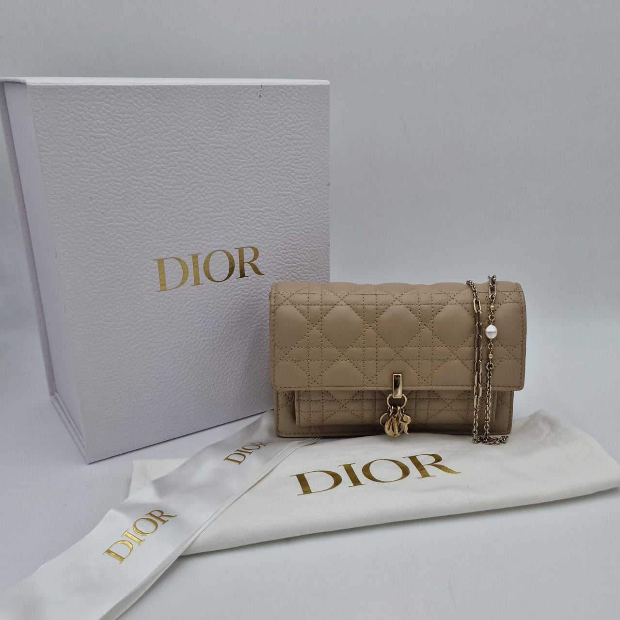 Dior My Dior Daily Pouch