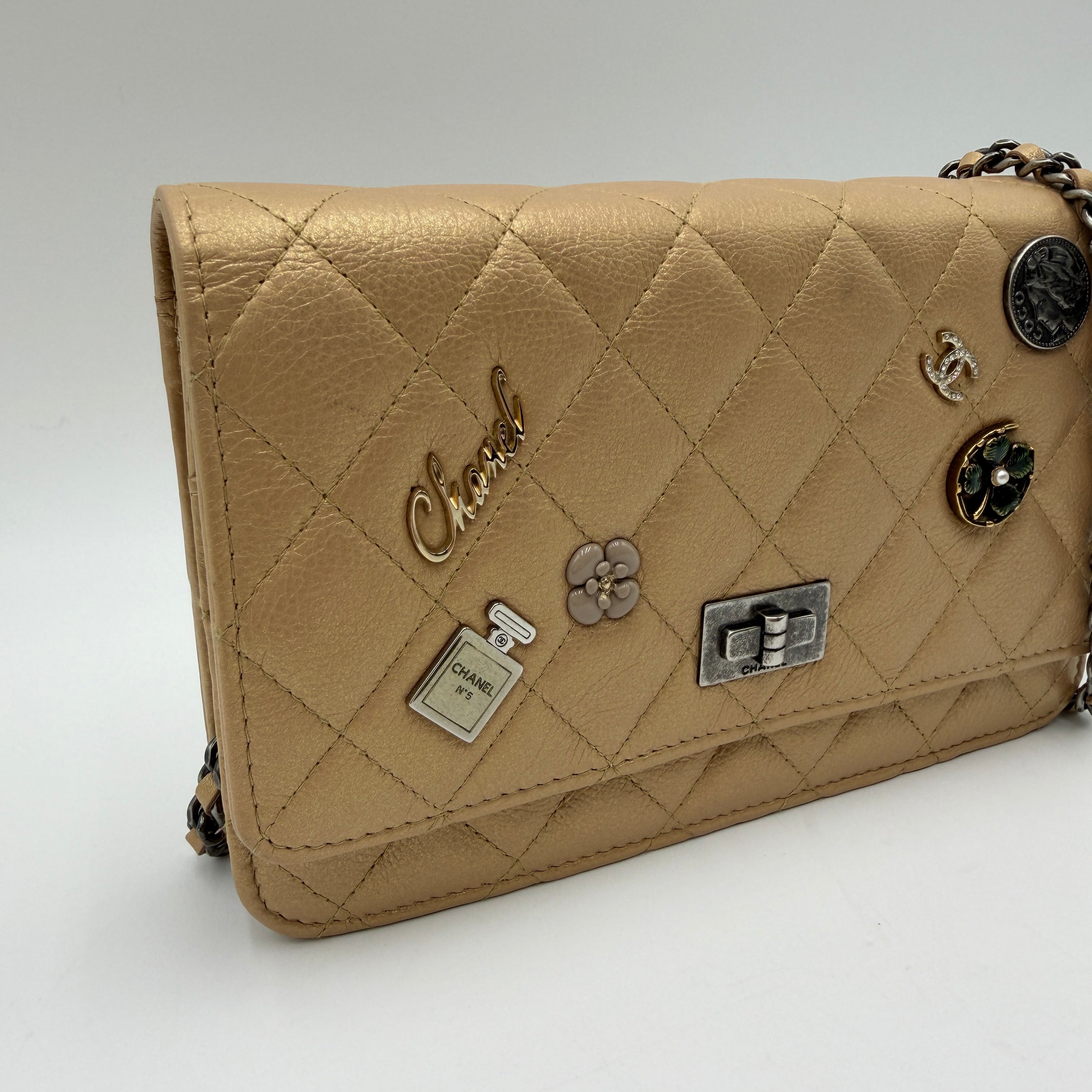 Chanel Lambskin WOC Lucky Charms
