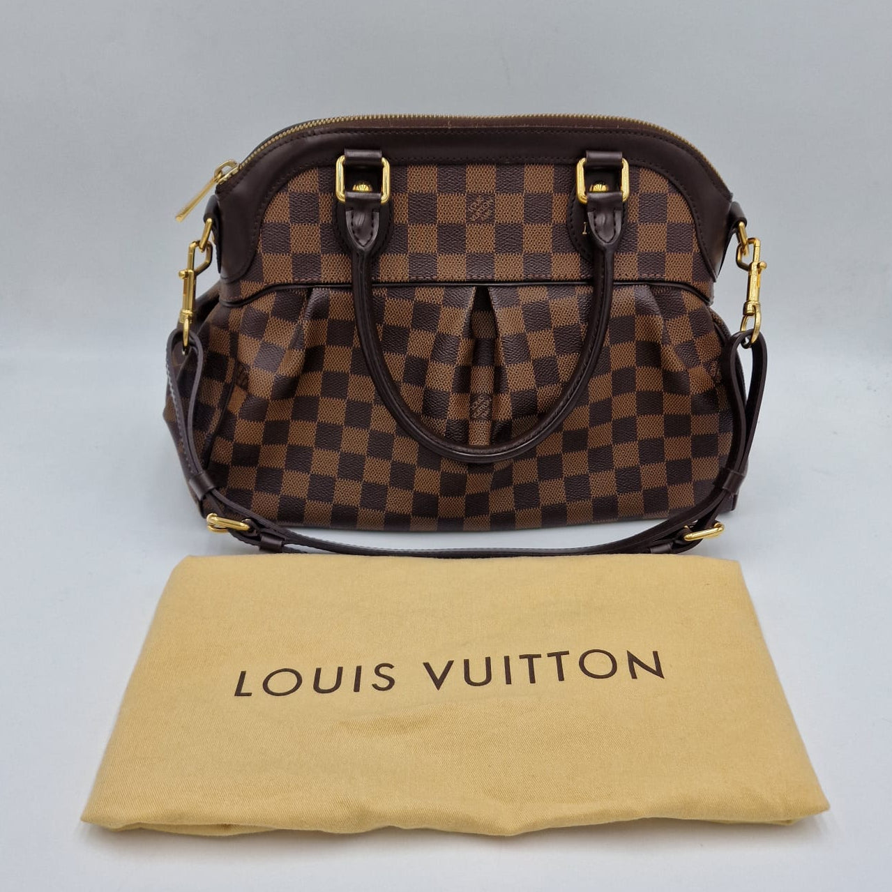 Louis Vuitton Damier Ebene Trevi PM
